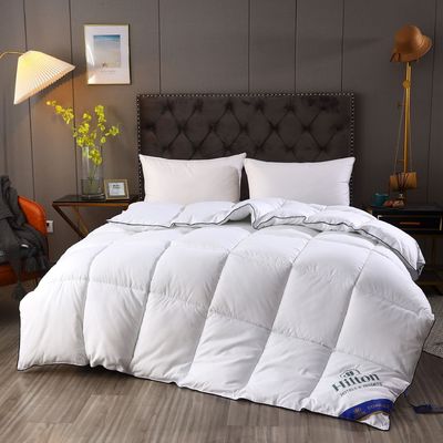 Hilton Duvet Double Spring Autumn Winter Quilt Core и горячий стиль для микробизнеса