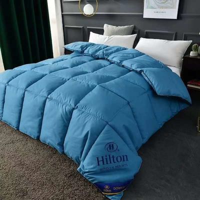 Hilton Duvet Double Spring Autumn Winter Quilt Core и горячий стиль для микробизнеса
